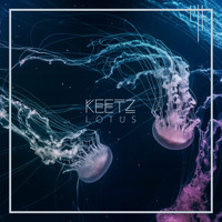 KEETZ - Lotus