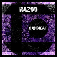 Razoo - Handicat