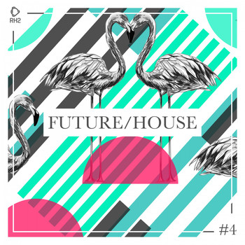 Various Artists - Future/House #4