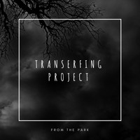 Transerfing Project - From the Park