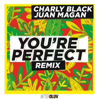 Charly Black - You're Perfect (Remix)