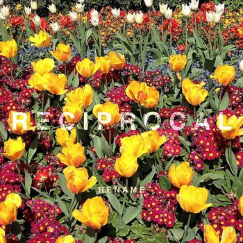 Rename - Reciprocal
