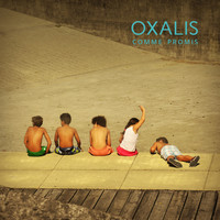 Oxalis - Comme promis