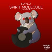Naylo - Spirit Molecule [The Album]