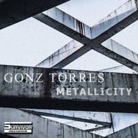 Gonz Torres - Metallicity