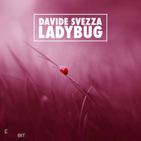Davide Svezza - Ladybug
