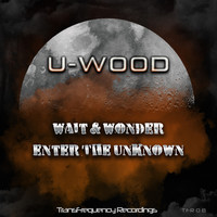 U-WOOD - Wait & Wonder