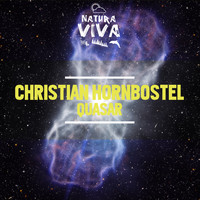 Christian Hornbostel - Quasar