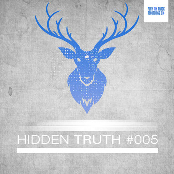 Various Artists - Hidden Truth #005