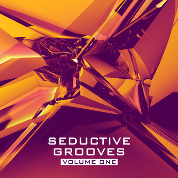 Various Artists - Seductive Grooves, Vol. 1 - Nu Disco House Sounds