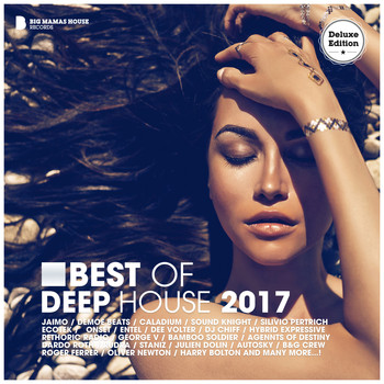 Various Artists - Best of Deep House 2017 (Deluxe Version)