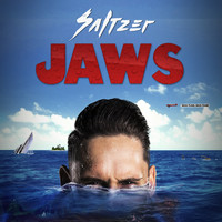 Saltzer - JAWS