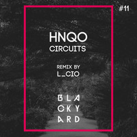 HNQO - Circuits