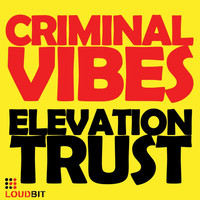 Criminal Vibes - Elevation Trust