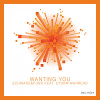 Schwarz & Funk feat. Storm Marrero - Wanting You