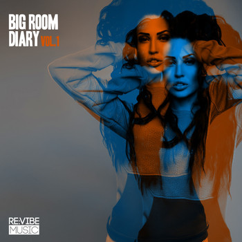 Various Artists - Big Room Diary, Vol. 1
