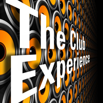 Various Artists - The Club Experience