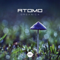 Atomo - Organica