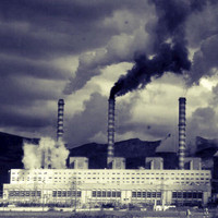 Z Timian - Warm Factory