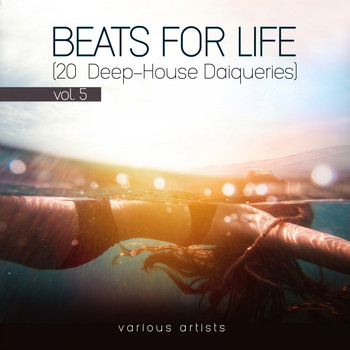 Various Artists - Beats for Life, Vol. 5 (20 Deep-House Daiqueries)