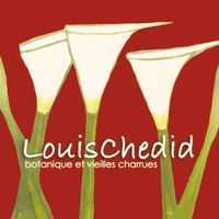 Louis Chedid - Botanique et vieilles charrues (Live)