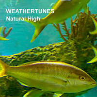 Weathertunes - Natural High