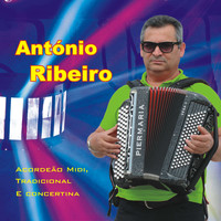 António Ribeiro - Acordeão Midi, Tradicional e Concertina