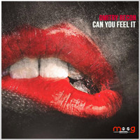 Dmitry Recon - Can Your Feel It