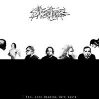SLEDGE - I Feel Life Wearing into Waste (Explicit)