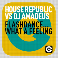 House Republic - Flashdance... What a Feeling