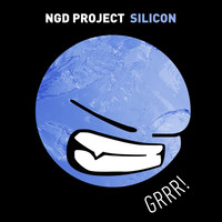 NGD Project - Silicon