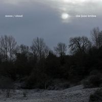 The June Brides - A January Moon