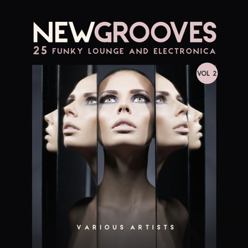 Various Artists - New Grooves, Vol. 2 (25 Funky Lounge & Electronica)
