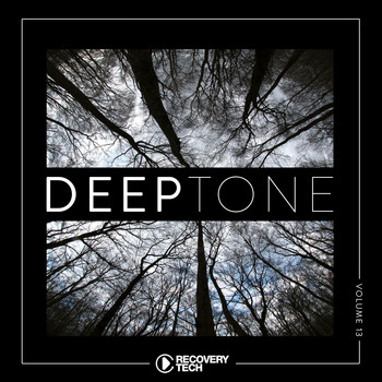 Various Artists - DeepTone, Vol. 13