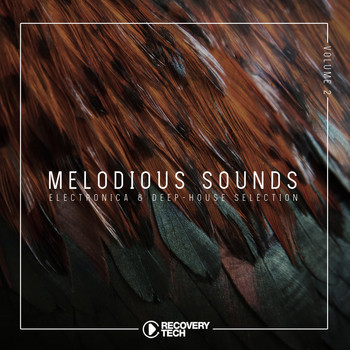 Various Artists - Melodious Sounds, Vol. 2