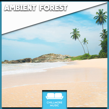 Various Artists - Ambient Forest