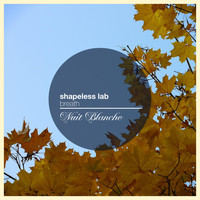 Shapeless Lab - Breath