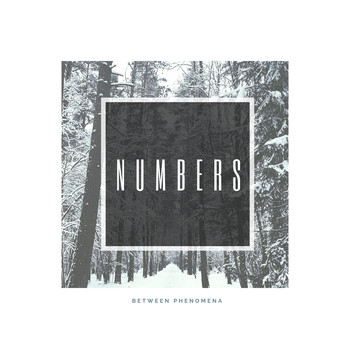 Numbers - Between Phenomena