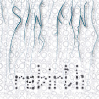 Sin Fin - Rebirth