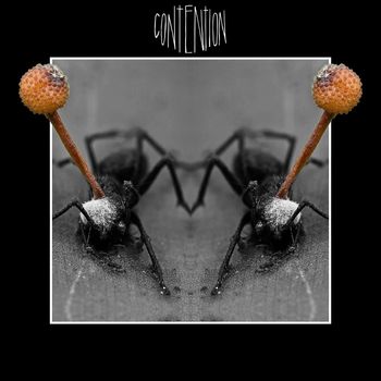 Contention - Contention