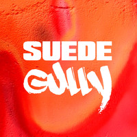 Puma - Suede Gully