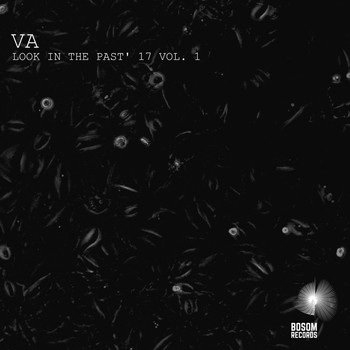 Various Artists - Look In The Past' 17, Vol. 1