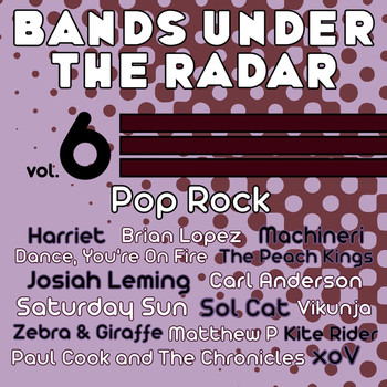 Zebra & Giraffe - Bands Under the Radar, Vol. 6: Pop Rock