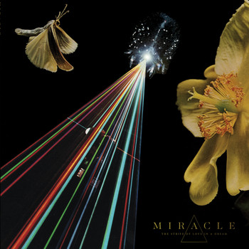 Miracle - The Parsifal Gate - Single