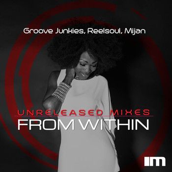 Groove Junkies, Reelsoul & Mijan - From Within (The Unreleased Mixes) (Explicit)