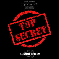 David Hilbert - Top Secret 2.0