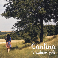 Cantina - V Duhem Poli