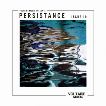 Various Artists - Voltaire Music pres. Persistence #10