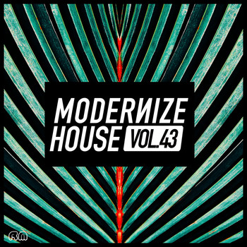 Various Artists - Modernize House, Vol. 43