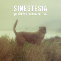 Sinestesia - ¿Quién Va a Poder Con Esto?
